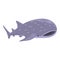 Whale predator icon cartoon vector. Sea shark