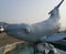 Whale and rock water fountain in Newport, Oregon