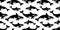 Whale seamless pattern shark dolphin fish isolated ocean sea wallpaper background