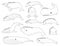 Whale Set Various Kind Identify Cartoon Vector Black and White