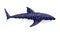 Whale shark. Big dangerous marine predator. Underwater sea animal. Vector illustration of Marine wildlife
