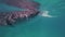 Whale shark eating in sea