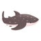 Whale shark fauna icon cartoon vector. Animal fish