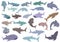 Whale shark icons set cartoon vector. Animal fish