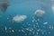 Whale Shark underwater approaching a scuba diver under a boat in the deep blue sea