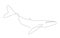 Whale silhouette one line drawing vector