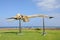 Whale skeleton on Fuerteventura