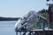 Whale skeleton, Newfoundland, Canada