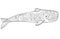 Whale. Sperm whale - a huge animal from the ocean coloring antistress -vector linear picture for coloring.