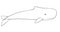 Whale. Sperm whale - a huge animal from the ocean - vector linear picture for coloring. Sperm whale is a marine mammal living in