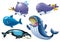 Whale squad cetaceans huge fins mammal moratorium fairy tale character