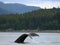 Whale Tail, Alaska