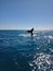 Whale Tail Diving in Sparkling Deep Blue Sea