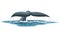 Whale Tail Illustration