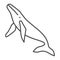 Whale thin line icon, ocean concept, orca sign on white background, sperm whale icon in outline style for mobile concept