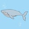 Whale. Vector illustration on a blue background