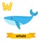 Whale. W letter. Cute children animal alphabet in vector. Funny