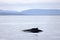 Whale watching in Skjalfandi bay.