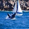 Whale Yacht