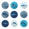 Whales and fish flat icons