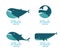 Whales icons.
