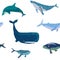 Whales seamless pattern, graphic illustration