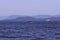 Whales spoting at the orca island washington