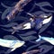 Whales variety: Blue, Killer Whale or Orca and Sperm or Cachalot, hand painted watercolor illustration, seamless pattern on dark