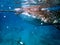 whaleshark in the pacific ocean in oslob on cebu island