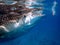 whaleshark in the pacific ocean in oslob on cebu island