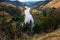 Whanganui River