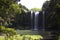 Whangarei Falls