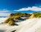 Wharariki beach