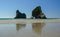 Wharariki Beach & Archway Islands in New Zealand