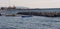 what a beautiful winter landscape with seagulls and boats