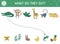 What do they eat. Matching activity for children with tropical animals and food they eat. Funny jungle puzzle. Logical quiz