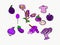 What kind of things are the color purple? prune plum eggplant onion grapes mangosteen scarf balloon nature life plant art vector