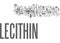What Is Lecithin Word Cloud