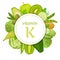 What products contain a lot of vitamin K. Vector collage