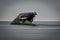 What remains of a sunken Concrete ship on the shore of Cape May