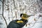 What to feed the birds in the winter? Man feeds the bird in the winter forest.