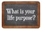 What is your life purpose ?