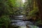 Whatcom creek at whatcom Falls park in Bellingham Washington