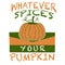 Whatever Spices Your Pumpkin. Thanksgiving pumpkin