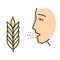 Wheat allergy color icon