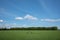 Wheat or barley field with the trace of tractor or vehicle wheel mark.