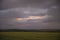 Wheat or barley field under storm cloud. At sunset, the clouds are orange, purple and navy blue.