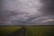 Wheat or barley field under storm cloud. At sunset, the clouds are orange, purple and navy blue.