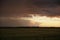 Wheat or barley field under storm cloud. At sunset, the clouds are orange, purple and navy blue.