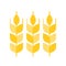 Wheat or barley, flat icon